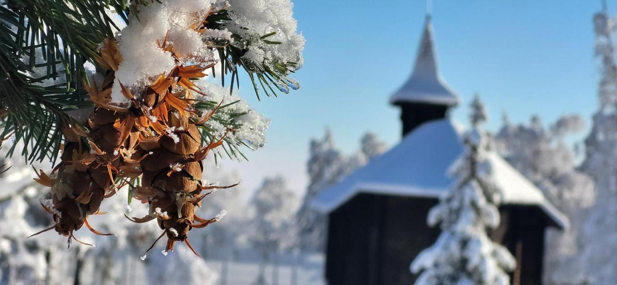 Vila Kollar Vysoké Tatry Exteriör bild