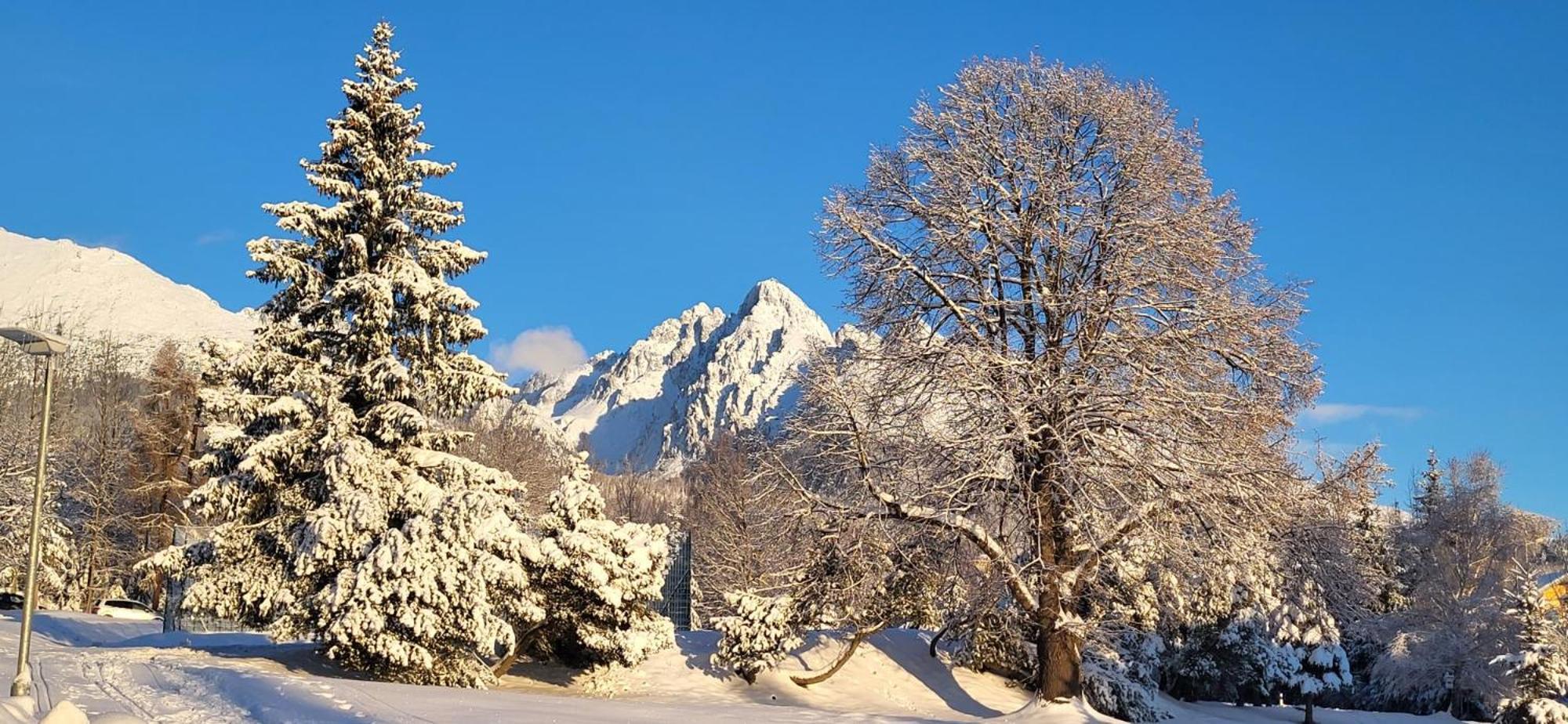 Vila Kollar Vysoké Tatry Exteriör bild