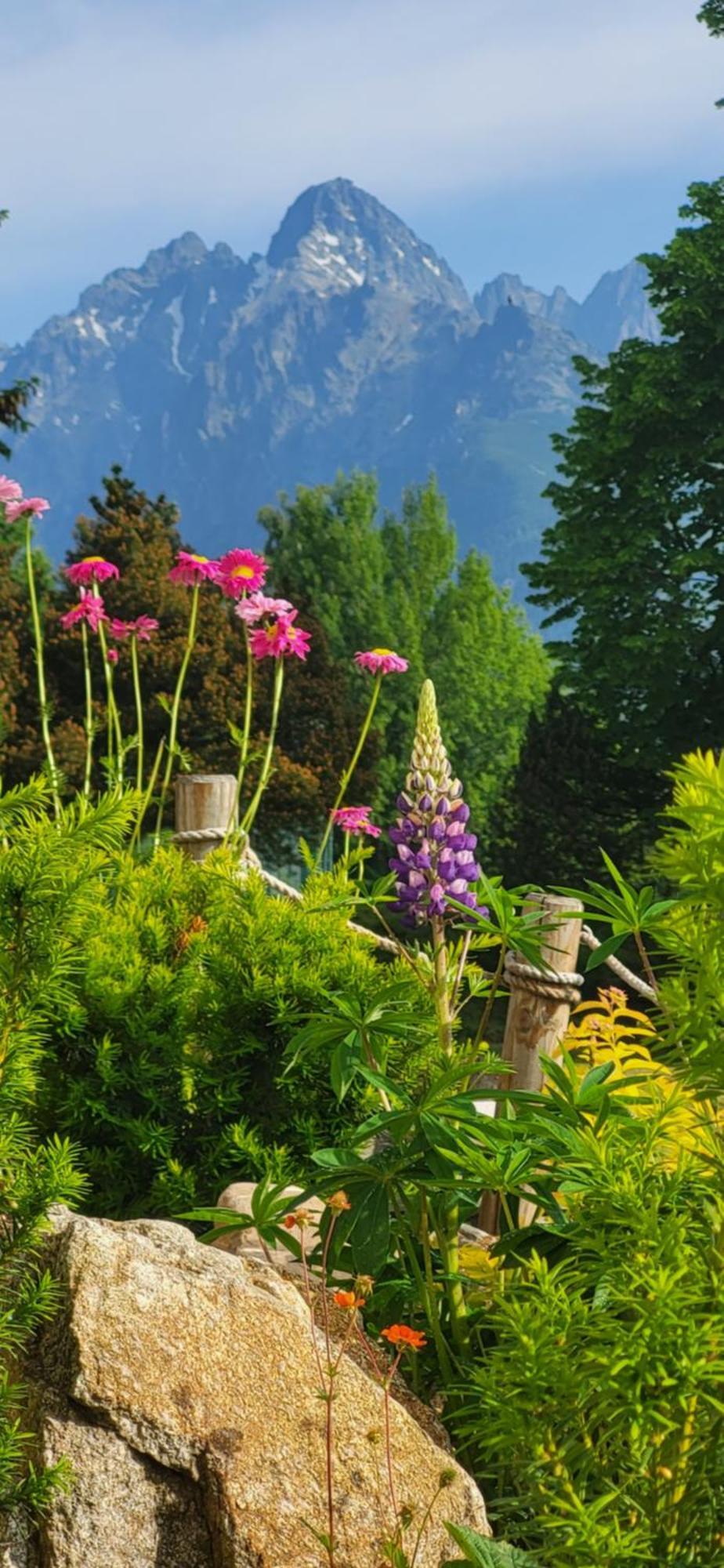 Vila Kollar Vysoké Tatry Rum bild